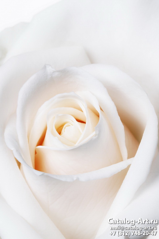 Натяжные потолки с фотопечатью - Белые розы 24